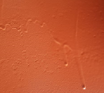 흐름 현상(SAGGING, RUN)